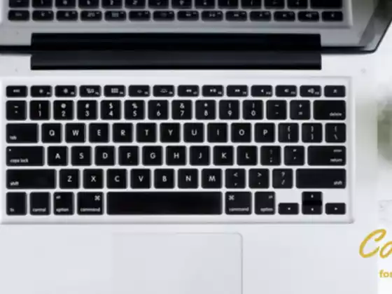 Optimice su negocio con blogs
