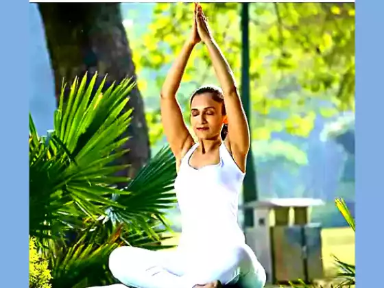Restoratif Yoga