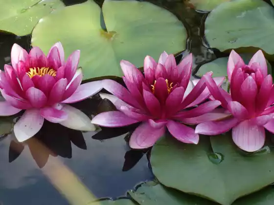 Wasser-Element-Yin-Yoga – langsam heilendes Yoga für alle