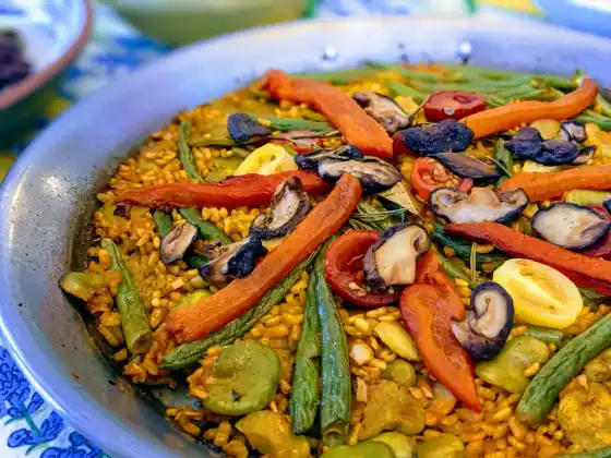 Un viaggio ricco di piante in Provenza: paella e altro! Nuovo contenuto 2025
