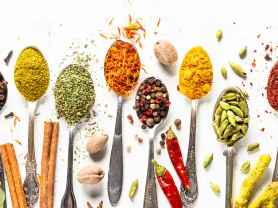 Veg Around the World: trasforma le verdure di tutti i giorni con sapori globali - NUOVI CONTENUTI!