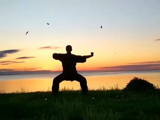 1 órás Qigong 8 selyembrokáttal 