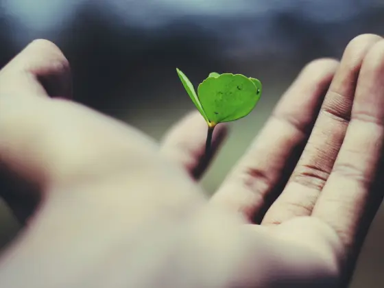 आत्मा-संरेखित सफलता के लिए कैरियर अंशांकन वेबिनार 6